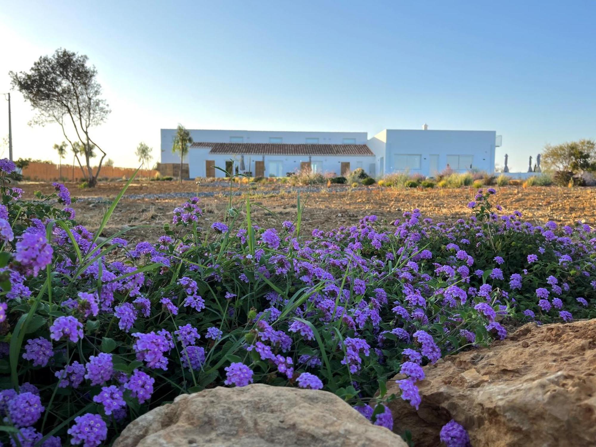 Villa Lobos Tavira Exteriér fotografie